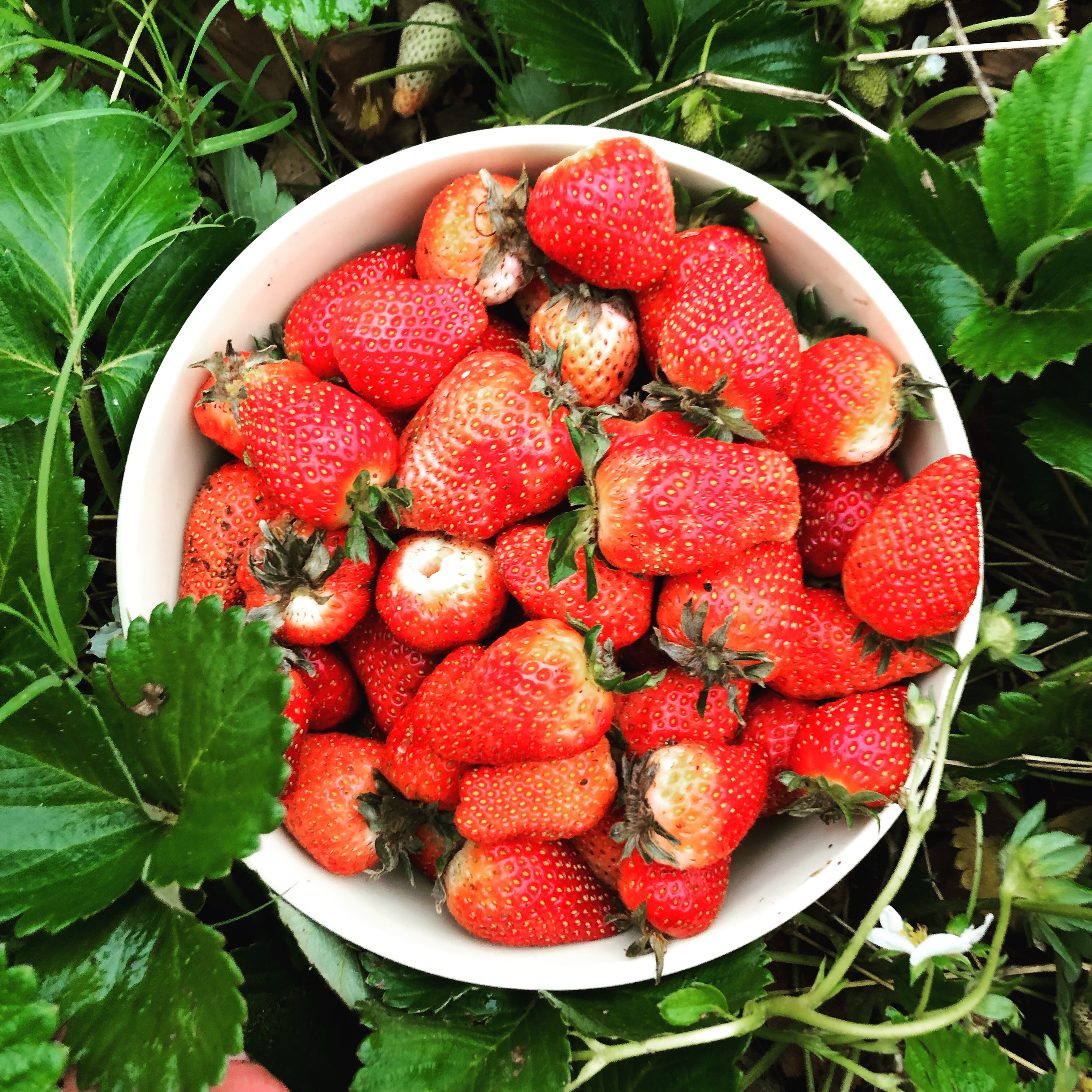 25-A9-AC9-F-EE3-B-46-AE-9-B0-B-4-B91-A7-