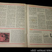 IMG-3583