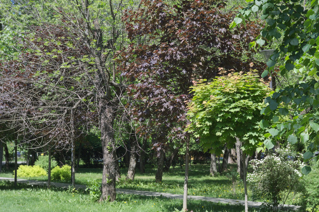 DSC3881.jpg