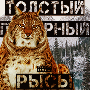 https://i.ibb.co/ggLd3DP/5-by.png