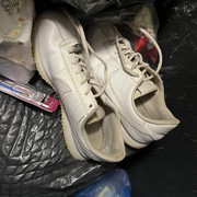 IMG-8816
