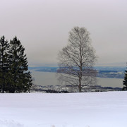 IMGP4571-1