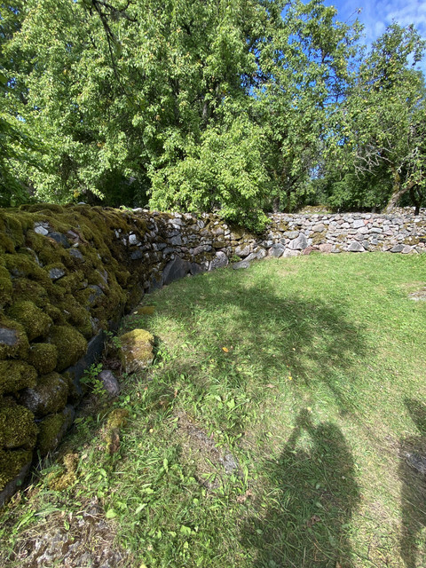 IMG-1535.jpg