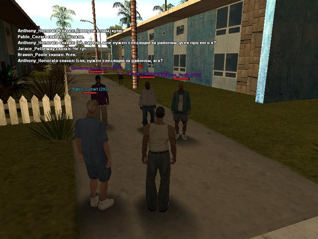 gallery65.jpg