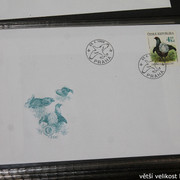 IMG-2604