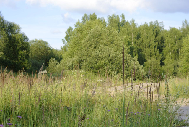 DSC5363-result.jpg