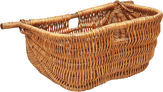 x IMG 1791.png
