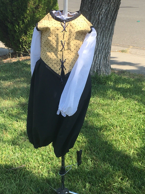 Yellow-Jacket.jpg