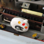 IMG-5302