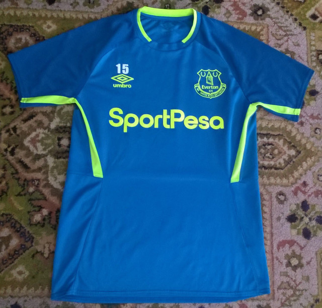 everton-train-15.jpg