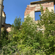 IMG-2643