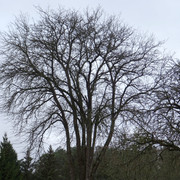 DSC00002