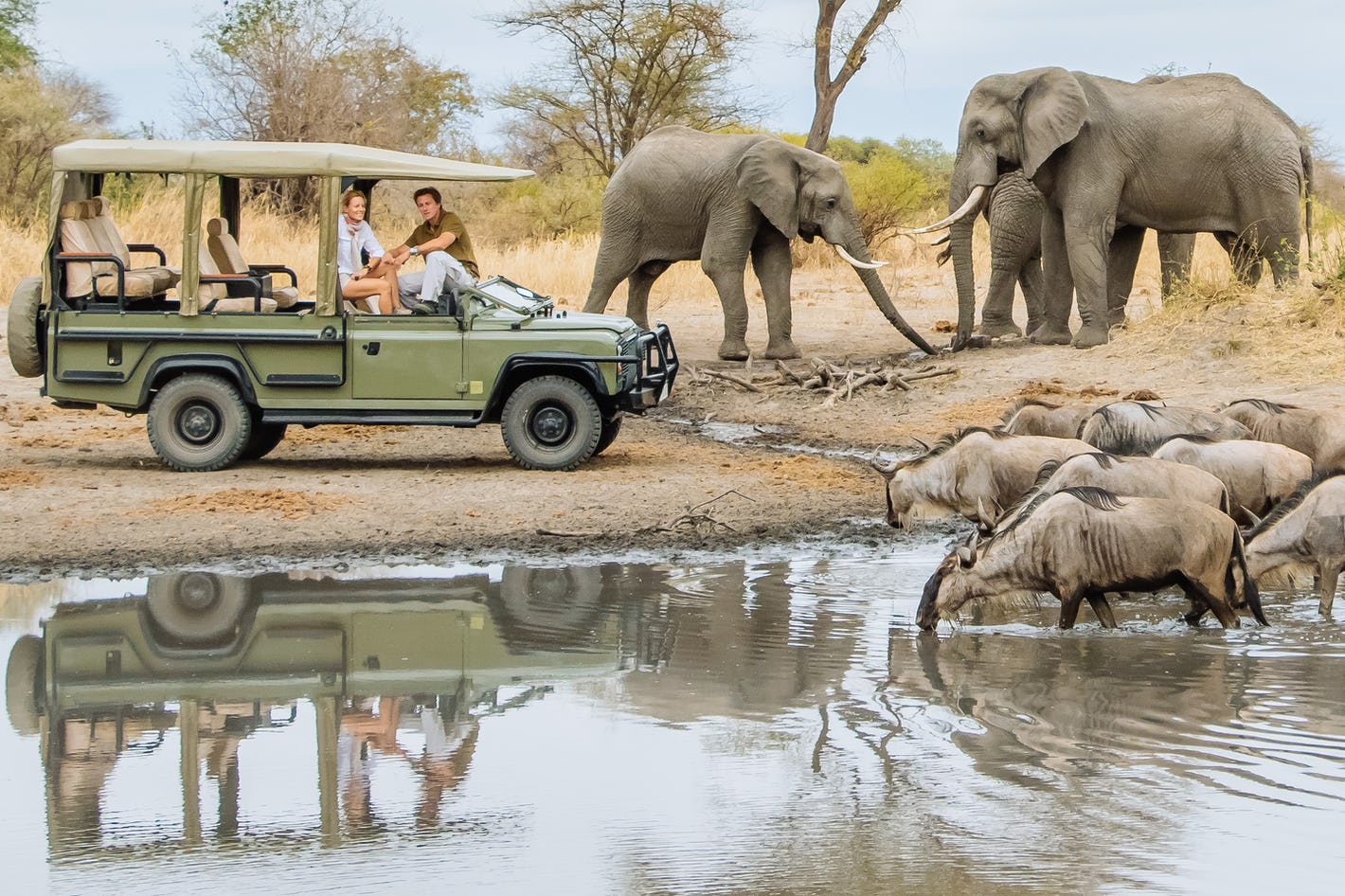 Elephants among baobabs in Tarangire