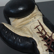 IMG-8338