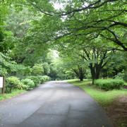 P1310992