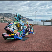 comp-IMG-9638