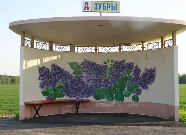 DSC09768-5.jpg