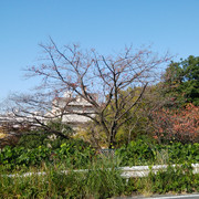 IMG-20221109-132837