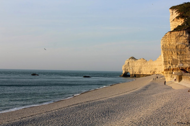 IMG-0091