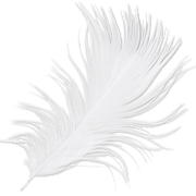 plume1