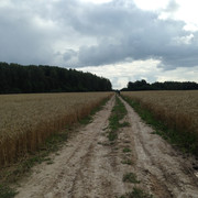 IMG-3963