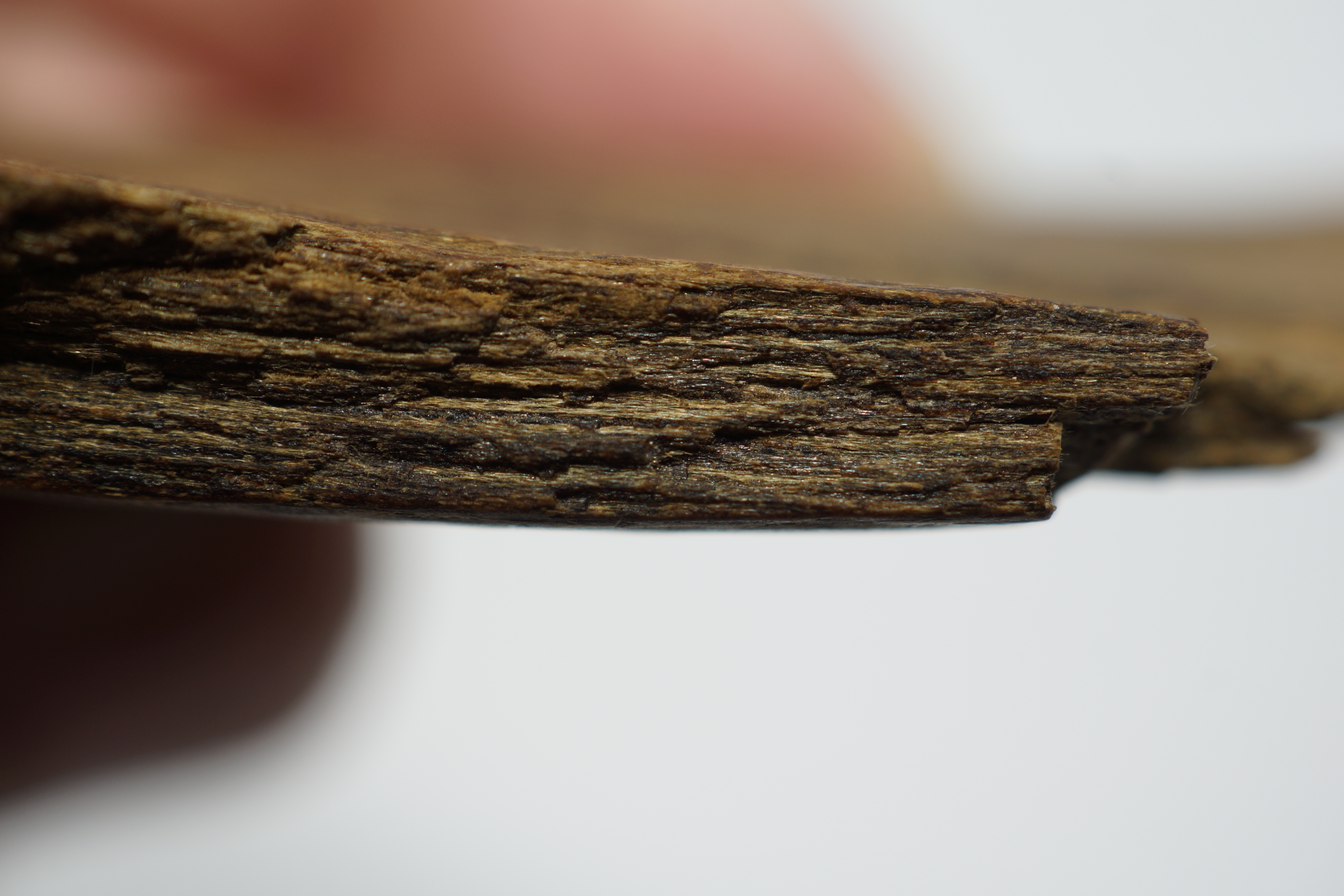 [Ouddict.com] Oud Photos
