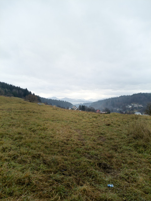 [Image: fotka-POCO.jpg]