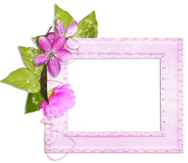 cluster-frame-15