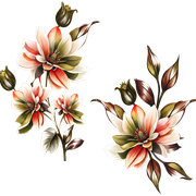 4d70dca7c90f722fe1f9e5576e122aa2