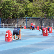 IMG-5488