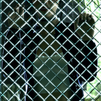 heathergothasylumshoot02