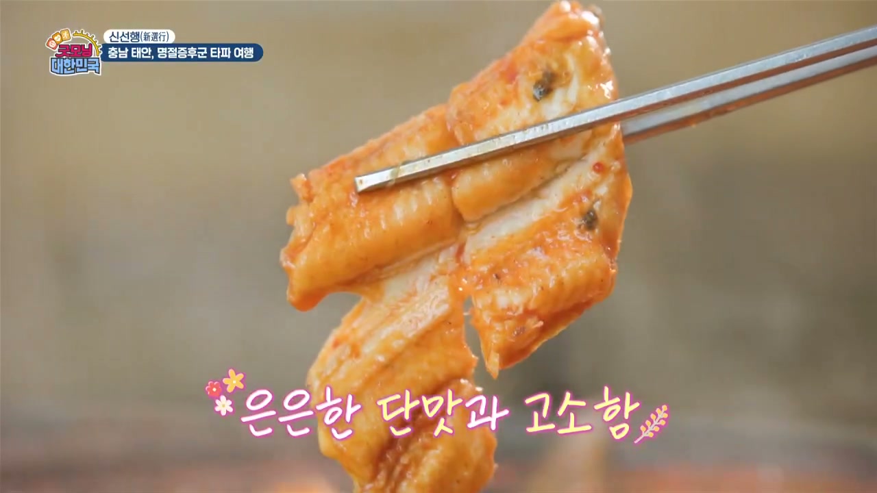 굿모닝대한민국 태안 붕장어두루치기 추가 캡처 2