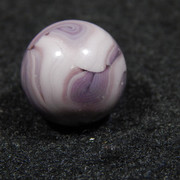 DSCN5329