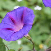 DSC-0346