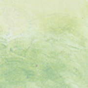twbh-25