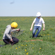 DSC00341