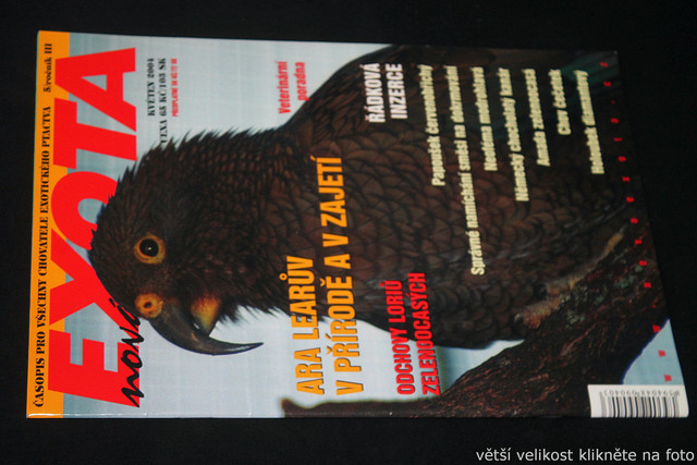 IMG-7776
