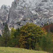 IMG-3202