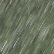 IMG-8607