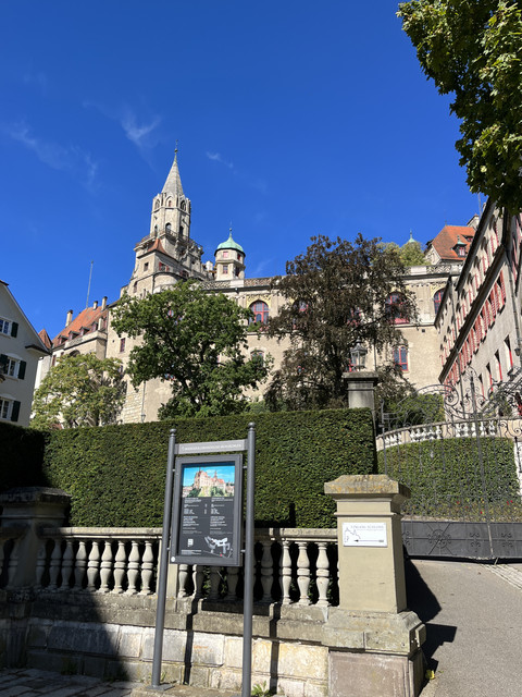 IMG-6766