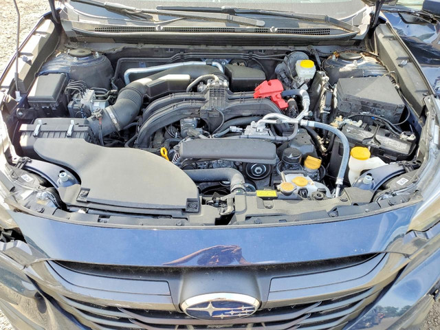 55800066 Image 11.jpg