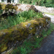 DSCF9081
