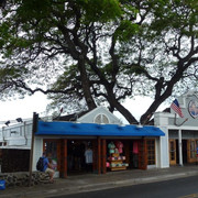 P1070898
