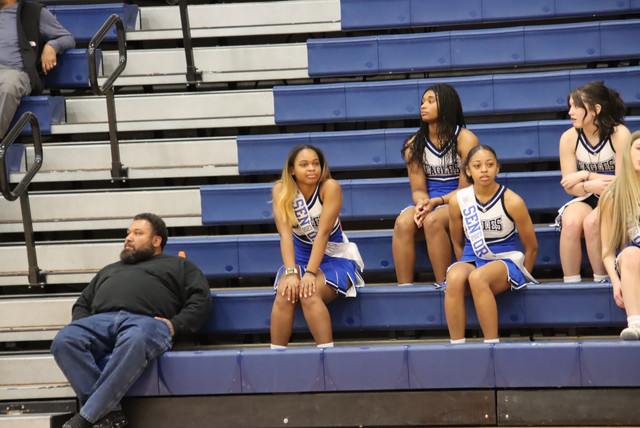 IMG-0033