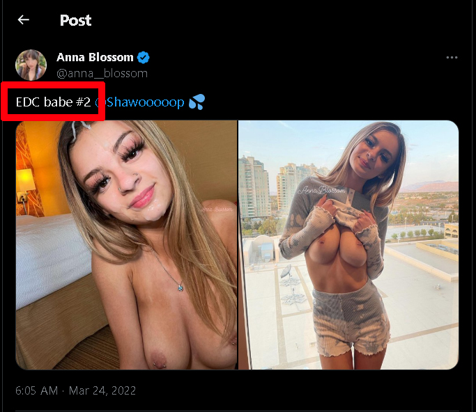 daddylolabunnyy and edc babe 2 in answer #1991298