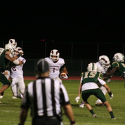 IMG-6775