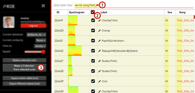 Filtering-Making-Collections-TAW.png