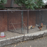 DSC08685