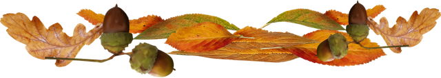 Leaves-Acorns2