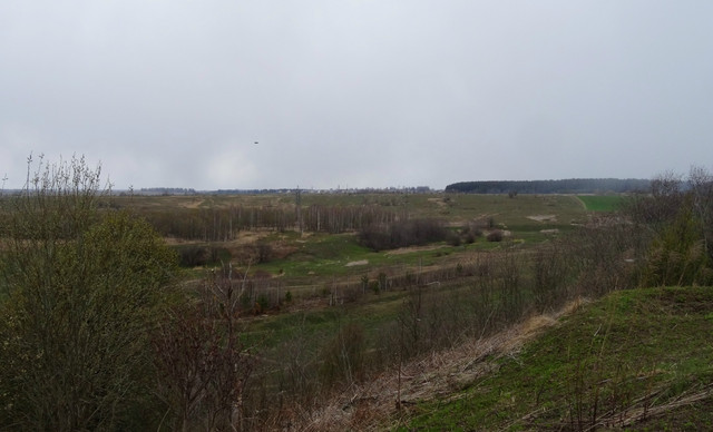 DSC06132-5